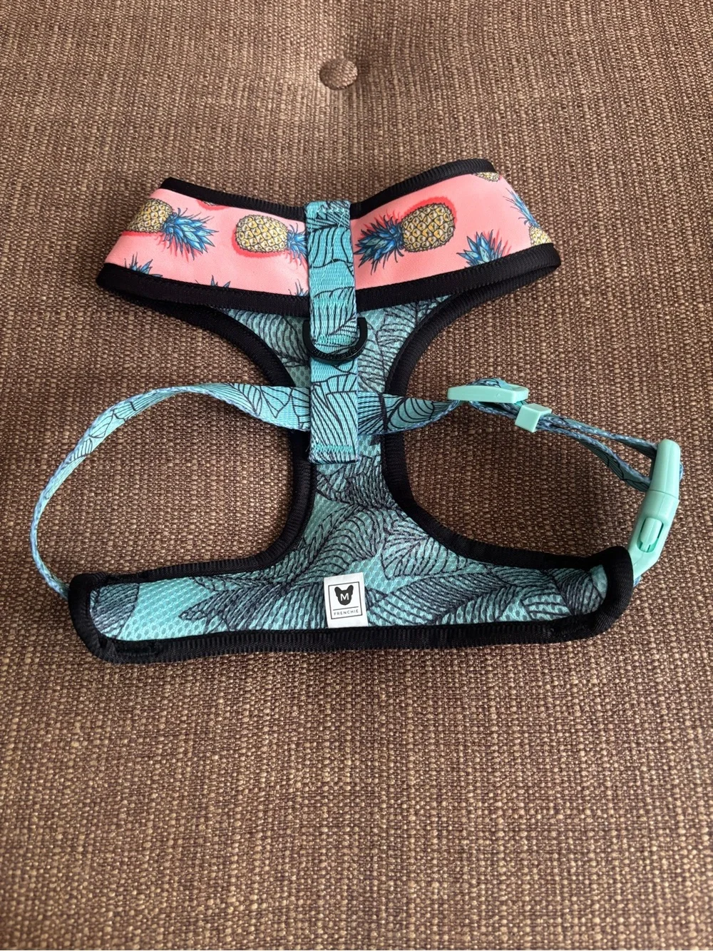 Frenchie bulldog reversible